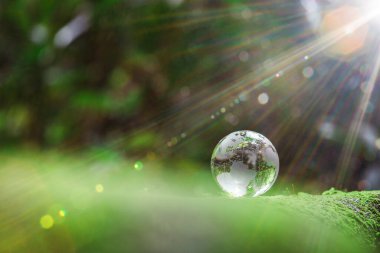 Globe planet glass In green forest with bokeh nature lights. world environment day. concept for environment conservation, protect ecology earth and environmental eco-friendly life with copy space