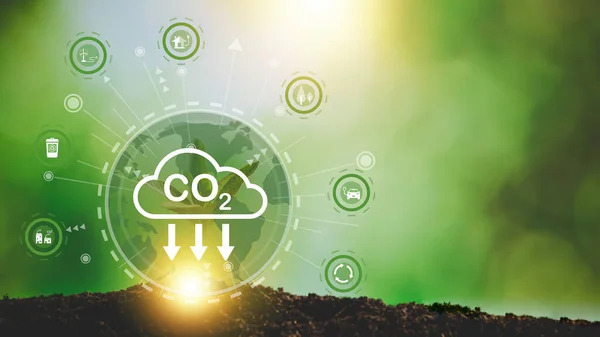 Ontwikkeling Van Duurzame Co2 Concepten Vermindering Van Co2 Emissies Koolstofvoetafdruk — Stockfoto