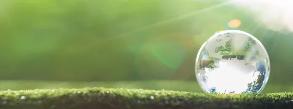 Globe Planet Glass Green Forest Bokeh Nature Lights World Environment — Stockfoto