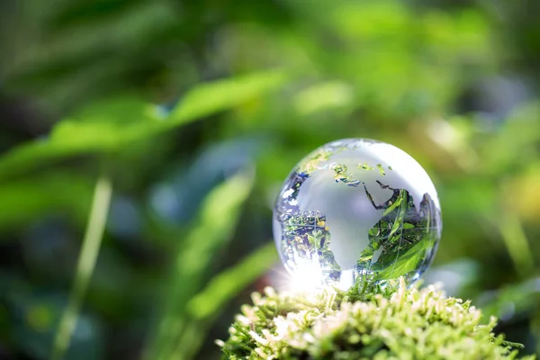 Globe planet glass In green forest with bokeh nature lights. world environment day. concept for environment conservation, protect ecology earth and environmental eco-friendly life with copy space