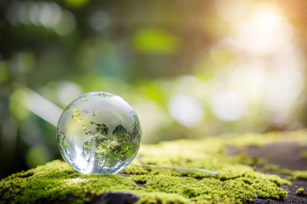 Globe planet glass In green forest with bokeh nature lights. world environment day. concept for environment conservation, protect ecology earth and environmental eco-friendly life with copy space