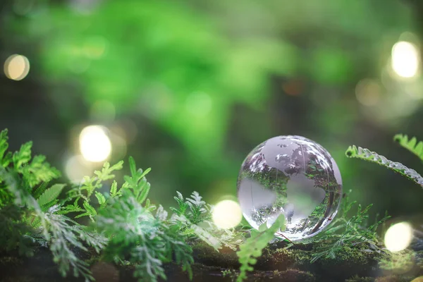 Globe planet glass In green forest with bokeh nature lights. world environment day. concept for environment conservation, protect ecology earth and environmental eco-friendly life with copy space