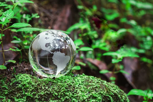 Globe planet glass In green forest with bokeh nature lights. world environment day. concept for environment conservation, protect ecology earth and environmental eco-friendly life with copy space