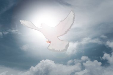 Güvercinler gökyüzünde uçar. Hıristiyanların Kutsal Ruh 'a inancı var. Siluet, Tanrı 'ya sevgiyle, inançla, ruhla ve İsa Mesih' le tapıyor. Hıristiyan barış için dua ediyor. Hıristiyanlıkta ibadet kavramı.