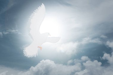 Güvercinler gökyüzünde uçar. Hıristiyanların Kutsal Ruh 'a inancı var. Siluet, Tanrı 'ya sevgiyle, inançla, ruhla ve İsa Mesih' le tapıyor. Hıristiyan barış için dua ediyor. Hıristiyanlıkta ibadet kavramı.