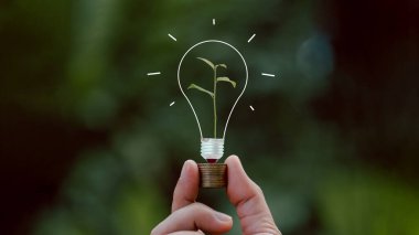 Alternatif enerji, yenilenebilir enerji, tasarruf edilen enerji, güneş ve finans lambası, finans bankacılığı büyümesi, enerji stoku yatırımı, para ve toprak üzerinde büyüyen ağaç