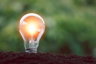 Alternatif enerji, yenilenebilir enerji, tasarruf edilen enerji, güneş ve finans lambası, finans bankacılığı büyümesi, enerji stoku yatırımı, para ve toprak üzerinde büyüyen ağaç