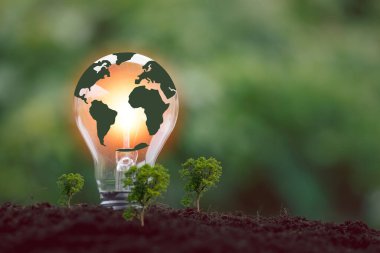 Alternatif enerji, yenilenebilir enerji, tasarruf edilen enerji, güneş ve finans lambası, finans bankacılığı büyümesi, enerji stoku yatırımı, para ve toprak üzerinde büyüyen ağaç