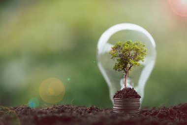 Alternatif enerji, yenilenebilir enerji, tasarruf edilen enerji, güneş ve finans lambası, finans bankacılığı büyümesi, enerji stoku yatırımı, para ve toprak üzerinde büyüyen ağaç
