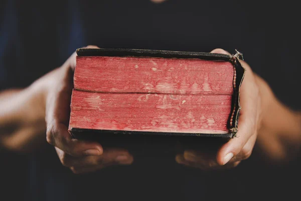 Fiatal Kéz Fogja Szent Bibliát Otthon Tanul Felnőtt Női Keresztény — Stock Fotó