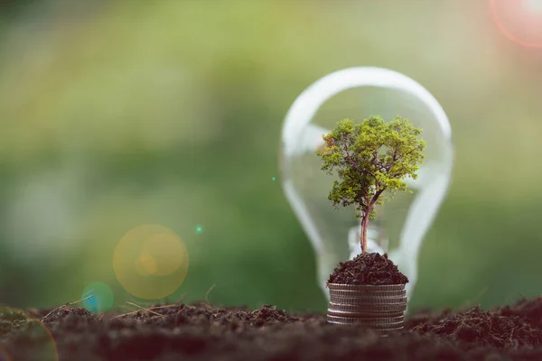 Alternatif enerji, yenilenebilir enerji, tasarruf edilen enerji, güneş ve finans lambası, finans bankacılığı büyümesi, enerji stoku yatırımı, para ve toprak üzerinde büyüyen ağaç