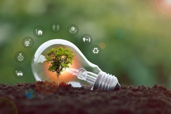 alternative energy, Renewable Energy, saving energy, electricity light lamp from solar and finance, finance banking growth, energy stock investment, tree growing up on coin and lightbulb on soil