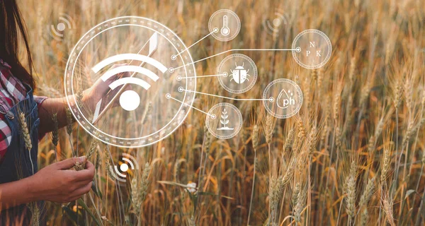 Smart farming concept. Farmer with technology digital tablet on background of wheat field. Professional farmers use internet of things (IOT) computers system to manage farms. agriculture modern idea.