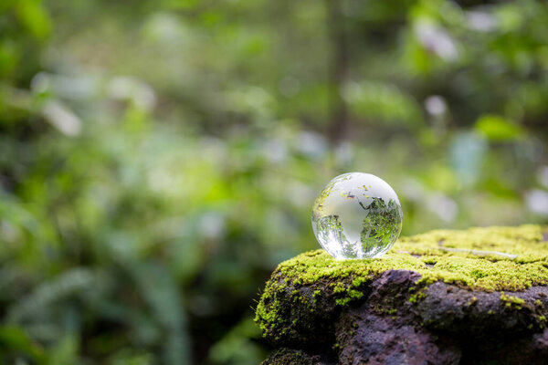 Globe planet glass In green forest with bokeh nature lights. world environment day. concept for environment conservation, protect ecology earth and environmental eco-friendly life with copy space