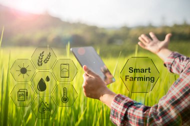 Tarım teknolojisi çiftçisi, tarım sorunları analiz verileri ve görsel ikon hakkında araştırma yapmak için dijital tablet ya da tablet teknolojisi tutuyor. akıllı tarım çiftçisi interneti kullanıyor