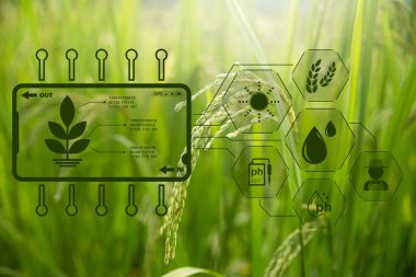 Tarım teknolojisi çiftçisi, tarım sorunları analiz verileri ve görsel ikon hakkında araştırma yapmak için dijital tablet ya da tablet teknolojisi tutuyor. akıllı tarım çiftçisi interneti kullanıyor