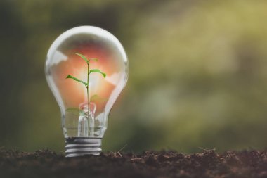 alternatif enerji, yenilenebilir enerji, enerji tasarrufu, güneş ve finans lambası, finans bankacılığı büyümesi, enerji stoku yatırımı, Dünya Bakım Günü, dünya çevre günü konsepti