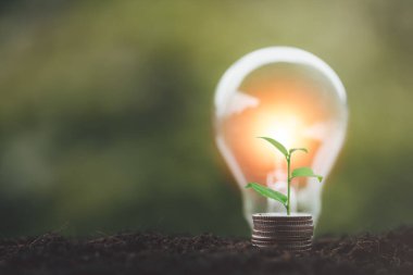 Alternatif enerji, yenilenebilir enerji, tasarruf edilen enerji, güneş ve finans lambası, finans bankacılığı büyümesi, enerji stoku yatırımı, para ve toprak üzerinde büyüyen ağaç