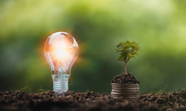 Alternatif enerji, yenilenebilir enerji, tasarruf edilen enerji, güneş ve finans lambası, finans bankacılığı büyümesi, enerji stoku yatırımı, para ve toprak üzerinde büyüyen ağaç