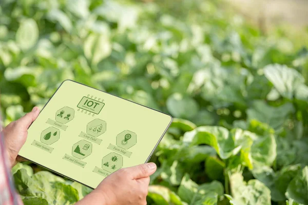 Agriculture technology farmer holding digital tablet or tablet technology to research about agriculture problems analysis data and visual icon. smart agriculture farmer using internet of things