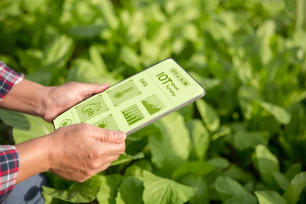 농부는 데이터와 아이콘에 연구를 디지털 태블릿이나 태블릿 기술을 보유하고 스마트 — 스톡 사진