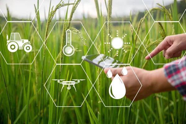 Agricultura Tecnología Agricultor Celebración Tableta Digital Tableta Tecnología Para Investigación — Foto de Stock