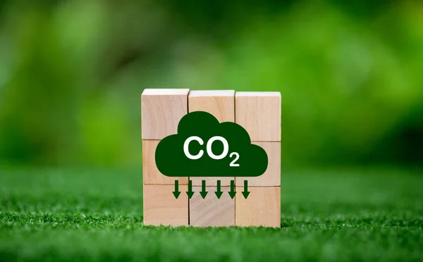 Karbon Kredi Konseptiyle Sıfır Sera Gazı Emisyonları Azaltımı Karbondioksit Miktarını — Stok fotoğraf