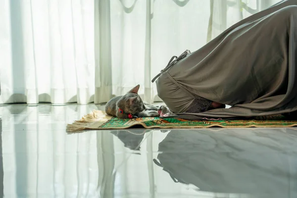 Wanita Muslim Berdoa Ruang Keluarga Buku Harian Agama Tugas Siluet — Stok Foto