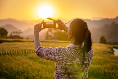 Romantik bir kadın yürüyor ve telefon kamerasıyla altın arpa tarlalarında çekim yapıyor. Buğday tarlasında hayatın tadını çıkaran mutlu bir kızın fotoğrafı. Bahar günü özgür bir kız. Doğada neşeli bir gün.