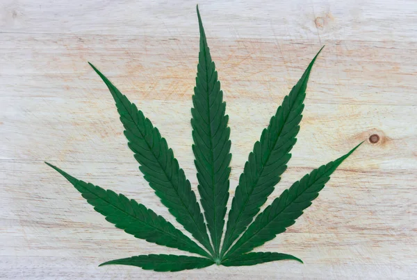 Vista Superior Folha Cannabis Fundo Madeira Crescimento Maconha Medicinal — Fotografia de Stock