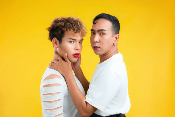 Estúdio Retrato Dois Asiático Gay Casal Isolado Amarelo Fundo Lgbtq — Fotografia de Stock