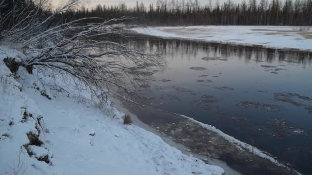 川沿いの氷の動き 日没の冬の風景 — ストック動画