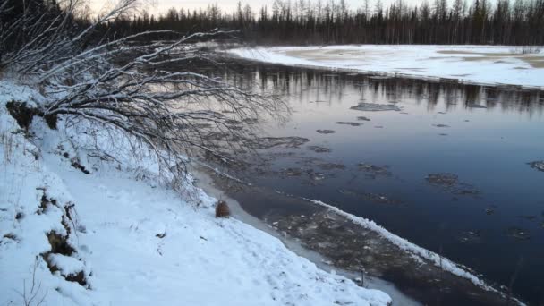 Ijsbeweging Langs Rivier Winterlandschap Bij Zonsondergang — Stockvideo