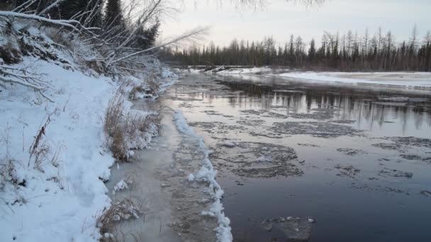 Πάγος Κινείται Κατά Μήκος Του Ποταμού Στο Δάσος Ηλιοβασίλεμα Φυσικές — Αρχείο Βίντεο