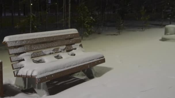 Notte Inverno Nel Parco Una Panchina Nella Neve Alla Luce — Video Stock