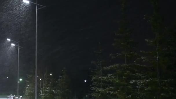 Tempesta Neve Notturna Alla Luce Delle Lanterne Sentieri Nei Cumuli — Video Stock
