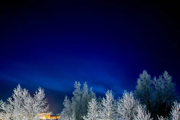 Βόρεια Φώτα Μπλε Χρώμα Στο Φόντο Των Δέντρων Στο Χιόνι — Φωτογραφία Αρχείου