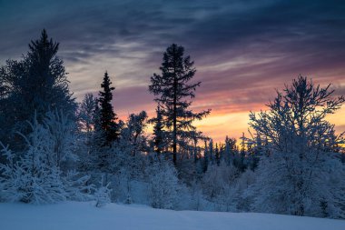 Günbatımında kış ormanı, kışın kırmızı gün batımı, manzara, kartpostal şablonu