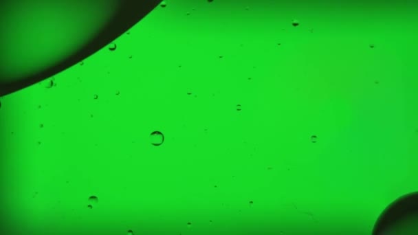 Олійні Бульбашки Струмки Воді Світло Зеленому Світлі Макроскопічні — стокове відео