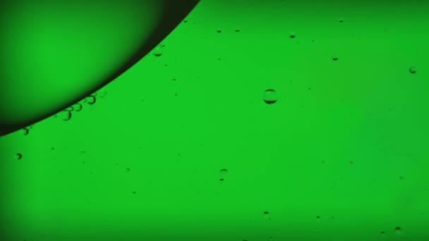 Oil Bubbles Streaks Water Light Green Light Macroscopic — стоковое видео