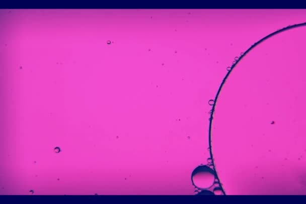 Oil Bubbles Streaks Water Light Purple Light Macroscopic — Stockvideo