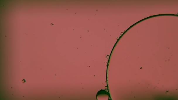 Oil Bubbles Streaks Water Light Brown Light Macroscopic — Stockvideo