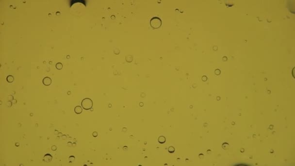 Oil Bubbles Slow Motion Gradient Lighting Macro — Stock Video