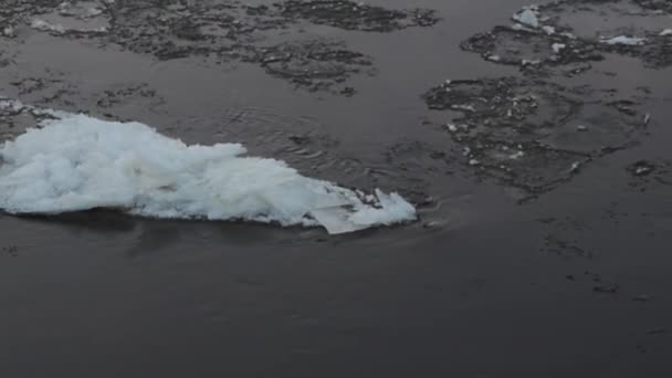 Förflyttning Isbitar Längs Floden Vid Solnedgången Isdrift Vinterlandskap Smältande Vårtupptining — Stockvideo