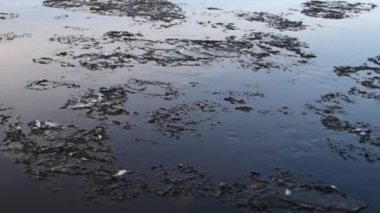 Buz yüzüyor, nehir boyunca ilerliyor, buz sürükleniyor, kış manzarası, ormandaki nehir...