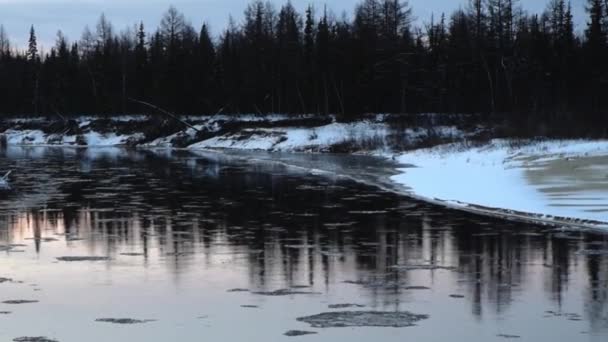 Hielo Flota Mueve Largo Del Río Deriva Hielo Paisaje Invernal — Vídeos de Stock