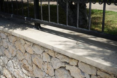 Rhodes Adası 'nda küçük mavi kuyruklu kertenkele. Lacerta oertzeni, Lacertidae familyasından bir kertenkele türüdür. Kolympia, Rodos, Yunanistan 