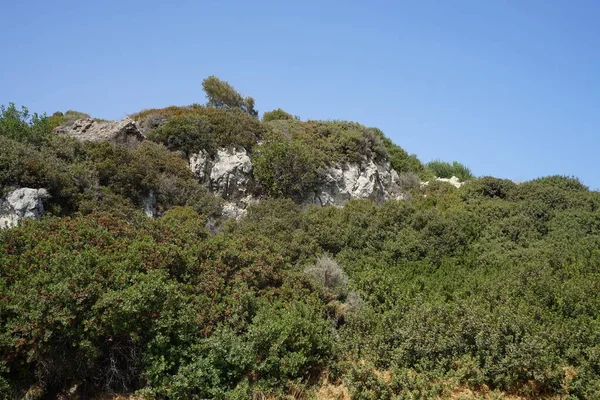 Beautiful Mountain Landscape Tropical Vegetation Kolympia Rhodes Greece — Stock Photo, Image