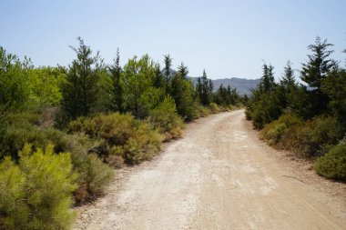 Kolymbia Flag Hill, Kolympia 851 02, Yunanistan 'da eşsiz bitki örtüsüyle muhteşem bir dağ manzarası.