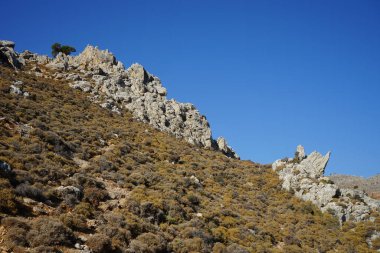 Ağustos 'ta Akdeniz bitki örtüsüyle muhteşem bir dağ manzarası. Kolympia, Rodos, Yunanistan 